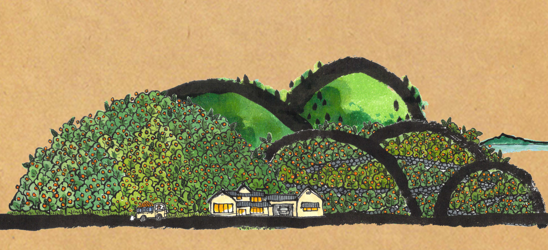 たちかわ柑橘園